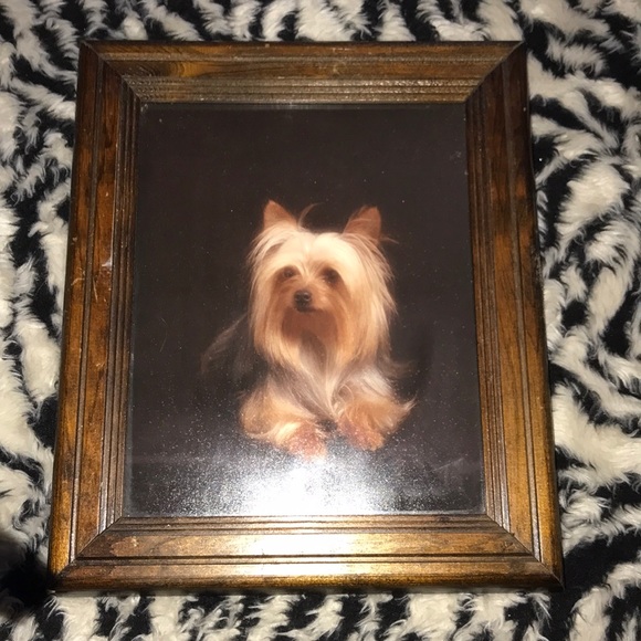 Vintage 10 x 13 inch wooden frame with 🐕 pic - Picture 1 of 4
